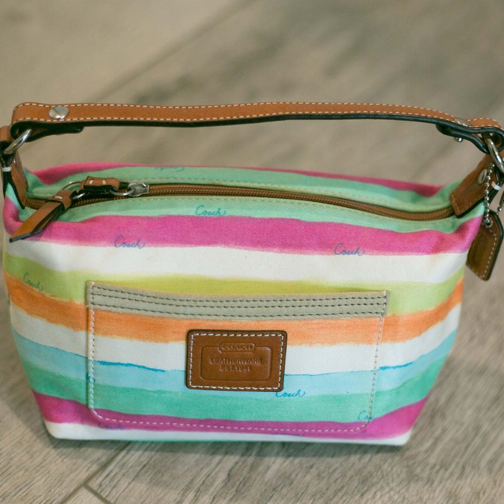 Coach watercolor hand bag